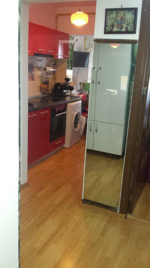 Appartamento Sfanta Ecaterina - Garsoniera Alba Iulia Esterno foto